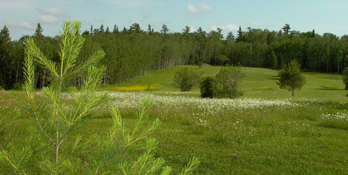 Vacant Land